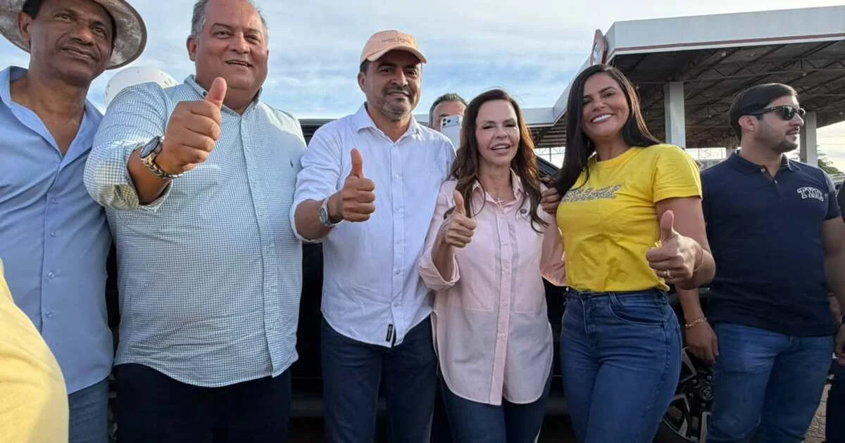 apostas esportivas